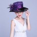 's Kentucky Derby Church Wedding Noble Dress hat organza feather hat b4t4t  eb-03101640